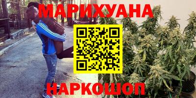 гашик Гусиноозёрск