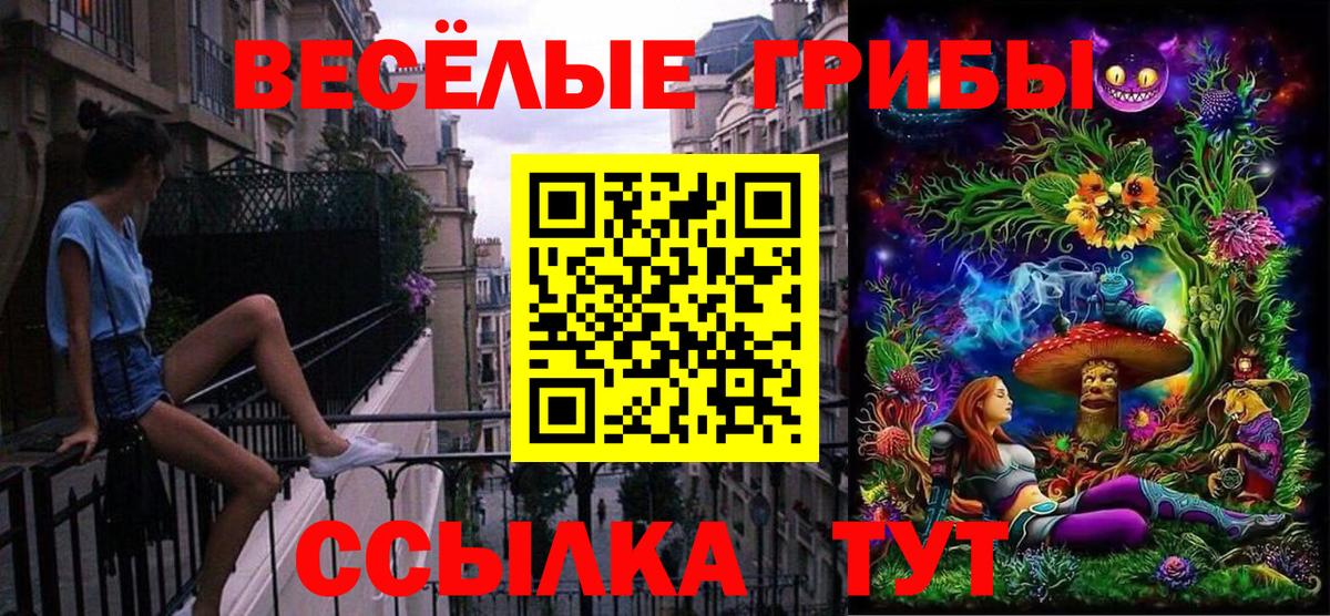 Псилоцибиновые грибы Psilocybe Малгобек
