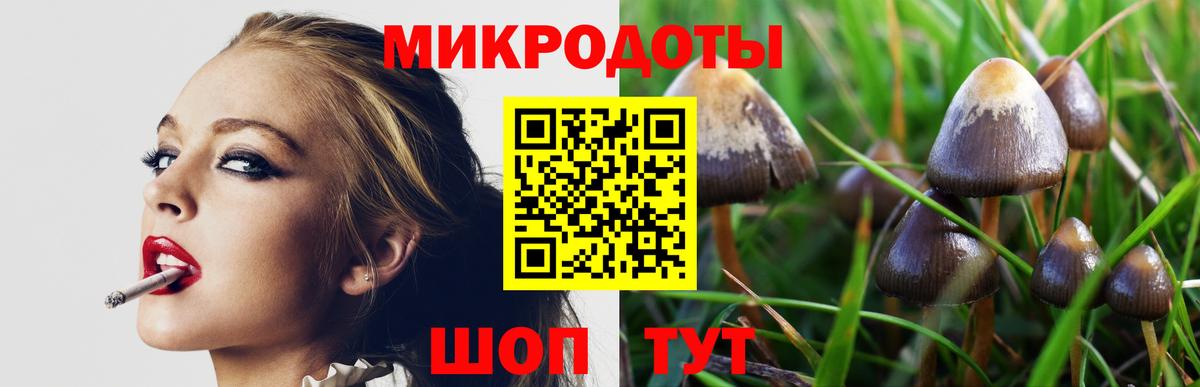 Галлюциногенные грибы MAGIC MUSHROOMS  Вход с VPN  наркошоп  Псилоцибиновые грибы мицелий  Малгобек 